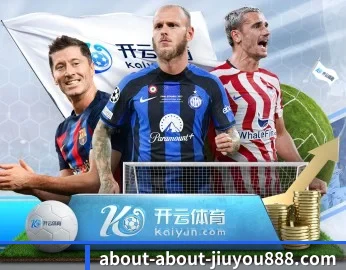 平台简介
